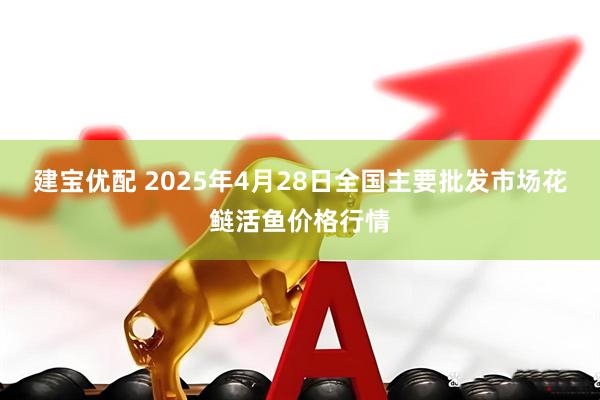 建宝优配 2025年4月28日全国主要批发市场花鲢活鱼价格行情