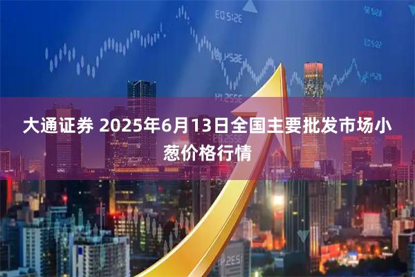 大通证券 2025年6月13日全国主要批发市场小葱价格行情
